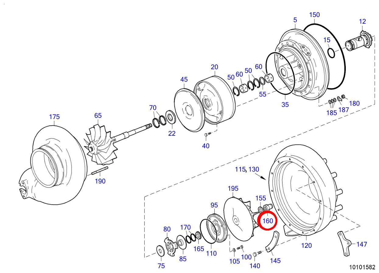 NUT - Image 2